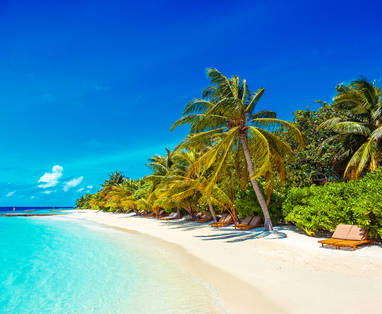 Lily_Beach