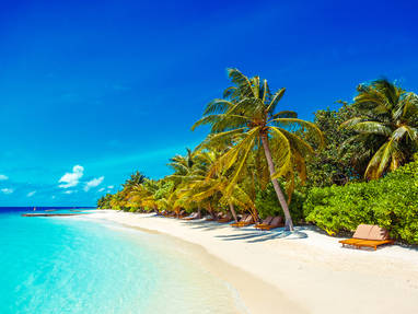 Lily_Beach