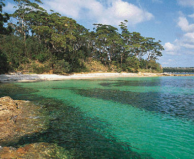Voor de perfecte reis naar Australië ga je in zee met All Over Tours
