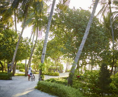 LSAA_092016_Pathways_0012_v1_1657x1242