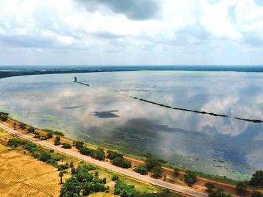 Palmyrah_LK_Mannar_Island_1499770857giants-tank