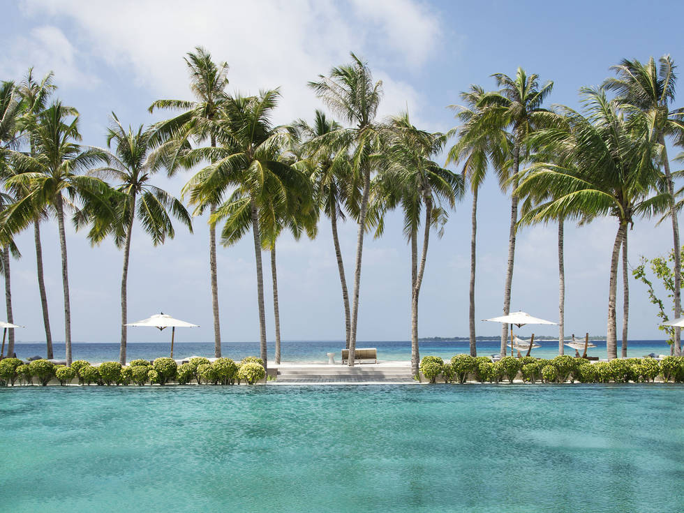Palmbomen en een infinity pool bij het Cheval Blanc resort op de Malediven.