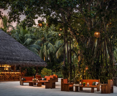 OO_RR_FB_Botanica_SacredTree_BarTwilight_0361_MASTER