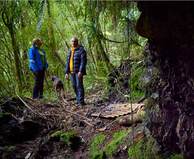 NZ_Greymouth_Breakers_guests_enjoying_a_private_tour_of_native_bush_walk_great_coast_road_west_coast