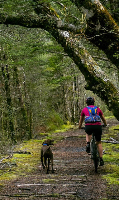 NZ_Greymouth_Breakers_mountain_biking_trails_West_Coast