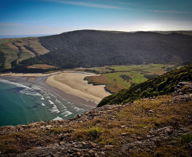 NZ_Catlins_Greenwood_Farmstay_clifftop10