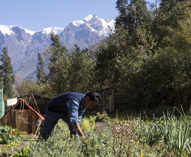 PE_Ollantaytambo_El_Albergue_tuin_FArm