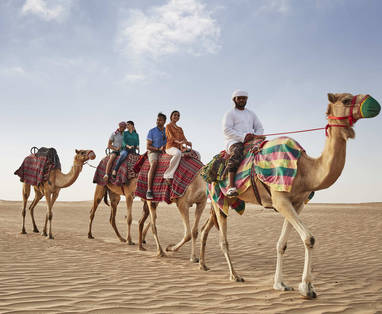 DTCM_D01S07_Camel_C165_1