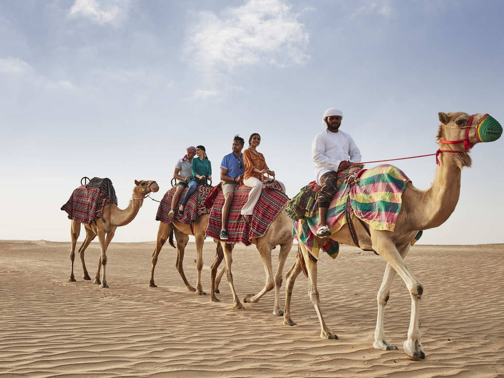 DTCM_D01S07_Camel_C165_1