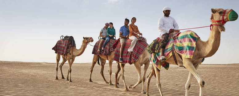 DTCM_D01S07_Camel_C165_1