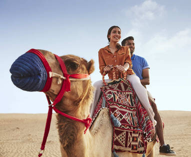 DTCM_D01S07_Camel_C117