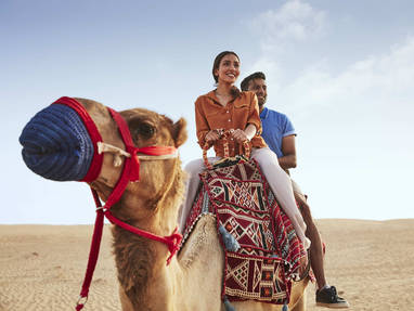 DTCM_D01S07_Camel_C117