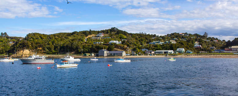NZ_Stewart_Island_Sails_Ashore(14)