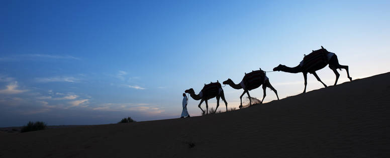 Camel_Trekking