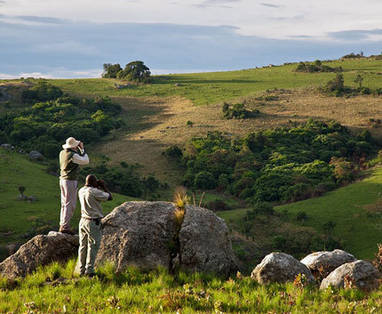 Malawi | Nyika National Park | omgeving van Chelinda Lodge