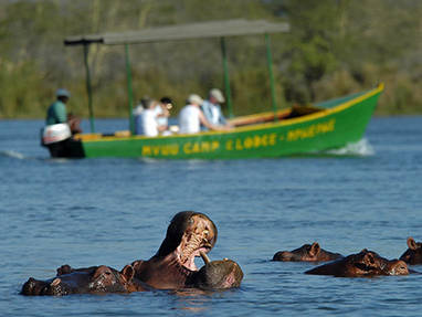 Malawi | Mvuu Wilderness Lodge | nijlpaarden