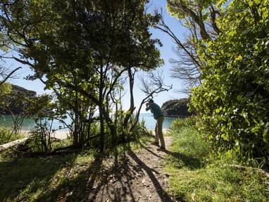1B3A1513_Abel_Tasman_National_Park_Nelson_Miles_Holden
