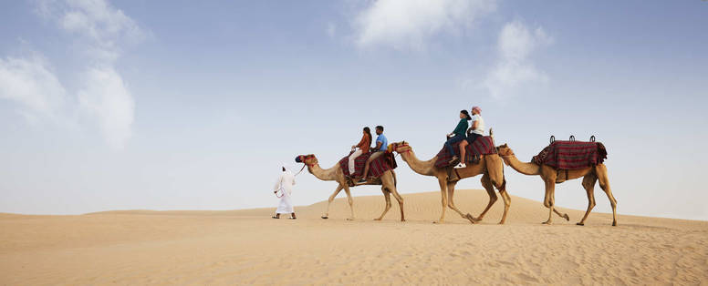 DTCM_D01S07_Camel_C373_1