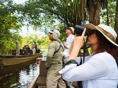 CO_PE_aria_amazone_cruise_vogels_spotten_Amazon-Birdwatching_-_01