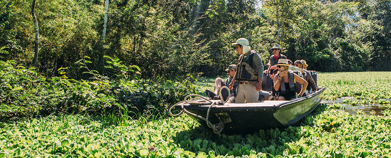 CO_PE_aria_amzone_cruise_Amazon-Skiff_Excursions_-_06