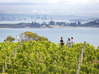 Prachtig uitzicht vanaf wijngaarden op Waiheke Island op Auckland
