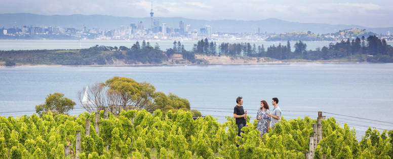 Prachtig uitzicht vanaf wijngaarden op Waiheke Island op Auckland