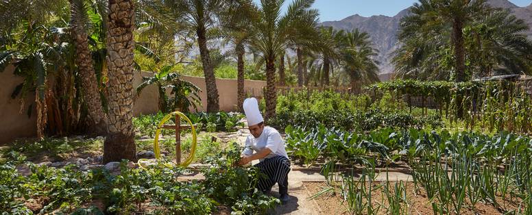 Organische_tuin_met_chefkok