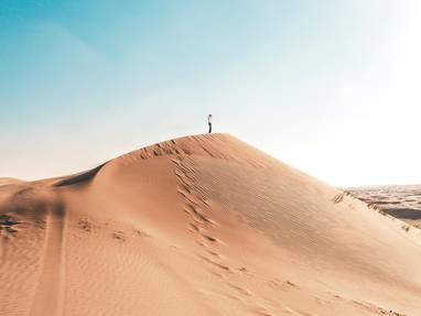 Arabian_Oryx_Camp__Al_Wāşil__Oman_-_Photo_by_Kristian_Egelund_unsplash.com