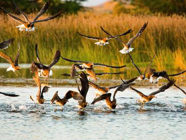 Dhofar__Salalah__Oman_-_Photo_by_Tanja_Cotoaga_unsplash.com