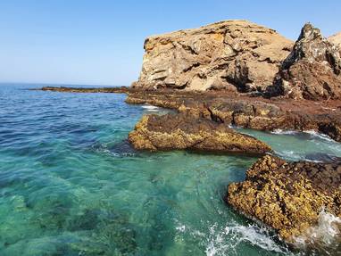 Sea_shore_near_Muscat__Oman_-_Photo_by_Ghulam_Mustafa_unsplash.com