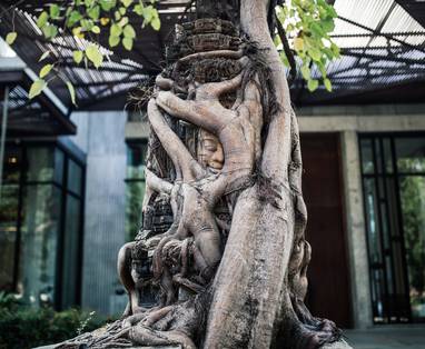 CM_Treeline_Hotel_Siem_Reap_boom_Copy_of_Copy_of_Banner