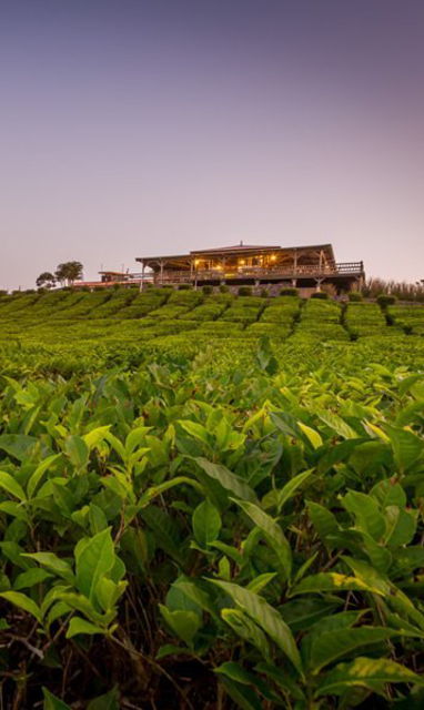 MU_Bois_Chéri_Bubble_Lodge_restaurant