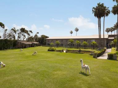 PE_wyndham_costa_del_sol_website_tuin