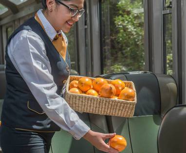 PE_Peru_Rail_Vistadome_trein_service_eten_AFA_4930