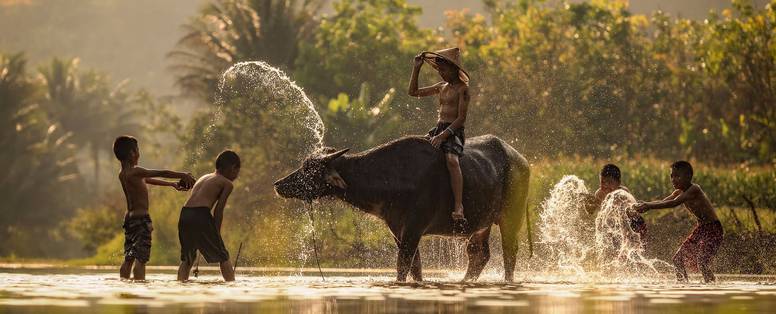 CM_4_Rivers_Floating_Lodge_Cambodja_koe_children-playing-in-water-with-cow-at-koh-andet