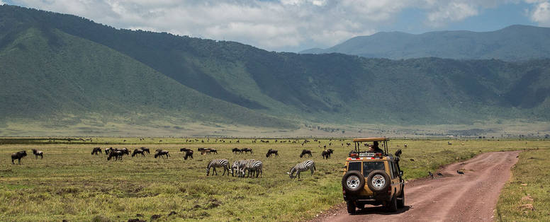 Safari door de Ngorongoro krater in Tanzania