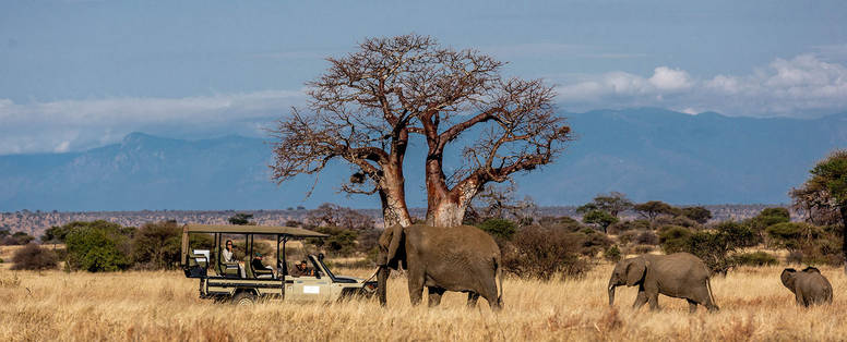 TZ_Nimali_Tarangire_uitzicht_NT-1