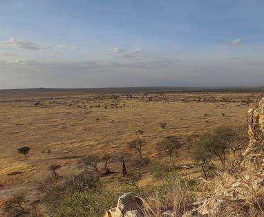 Uitzicht over Tarangire National Park