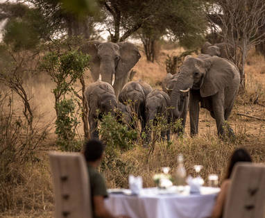 TZ_Nimali_Tarangire_dineren_met_uizicht_op_wild_NT-22