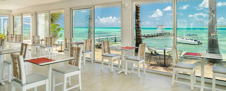 MU_Tropical_Attitude_bor_lamer_(2)