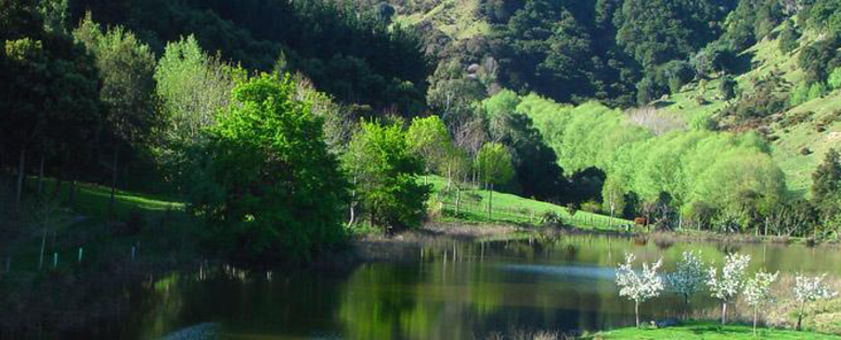 NZ_Gisborne_Knapdale_Lodge_Surroundings