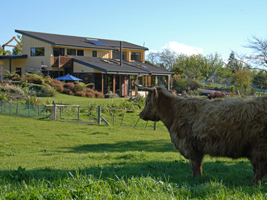 NZ_Gisborne_Knapdale_Lodge_Surroundings_of_Knapdale