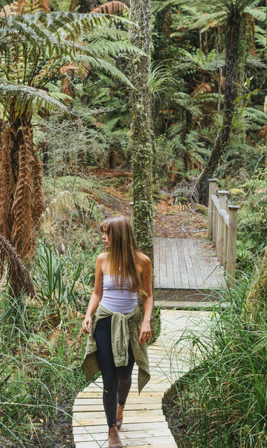 NZ_Rotorua_TreetopsLodgeForestWalk