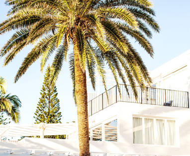 NZ_Byron_Bay_HalcyonHouse-Pool-08