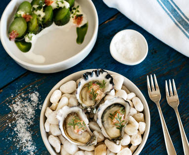 NZ_Byron_Bay_Nativeoysters_fingerlime_beachhorseradish_FrancescaOwen-75