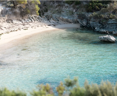AU_Rottnest_Island_Samphire_Rottnest_Beach