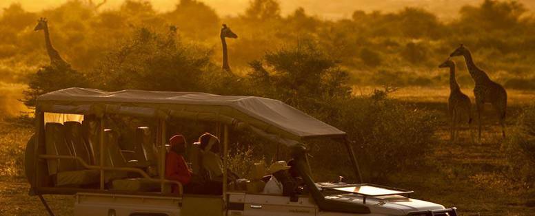 Avondsafari bij Tawi Lodge in Kenia