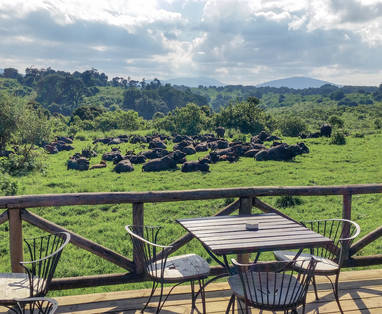 Rhino_Lodge_Edited_HR-57