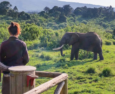 Rhino_Lodge_Edited_LR-58