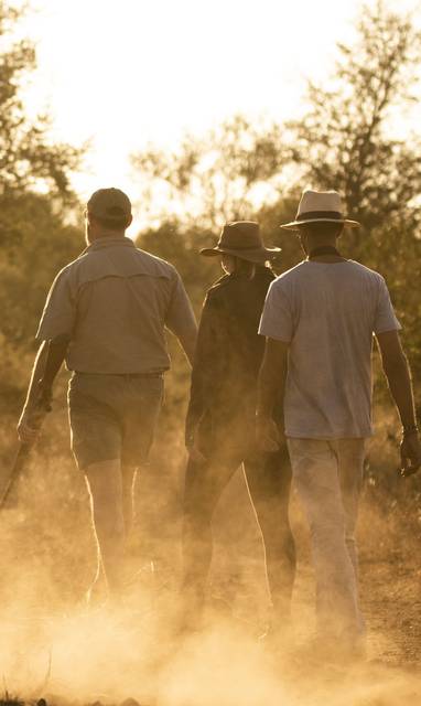 Singita-Lebombo-Lodge-Bush-walk-2-min